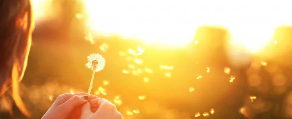 چرا وارن بافت و چارلی مانگر از بیت کوین متنفرند؟ چرا وارن بافت و چارلی مانگر از بیت کوین متنفرند؟