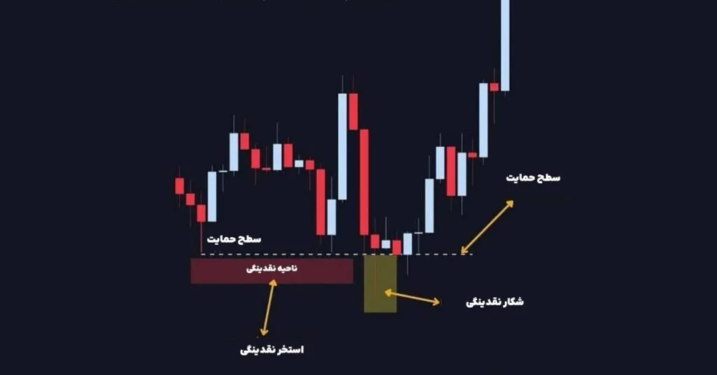 ۵ تله رایج در بازار کریپتو؛ نهنگ‌ها در کنار این تله‌ها منتظر شما هستند