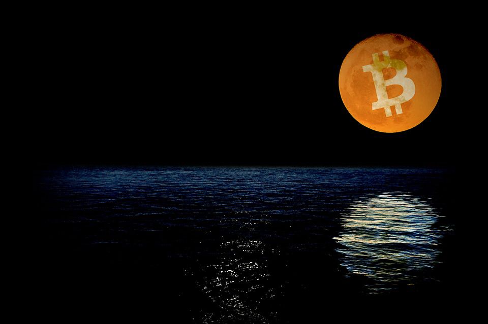 قیمت بیت‌کوین اهمیتی ندارد!