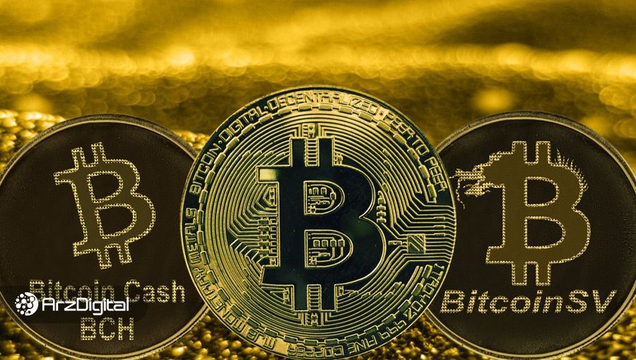 بیت کوین کش