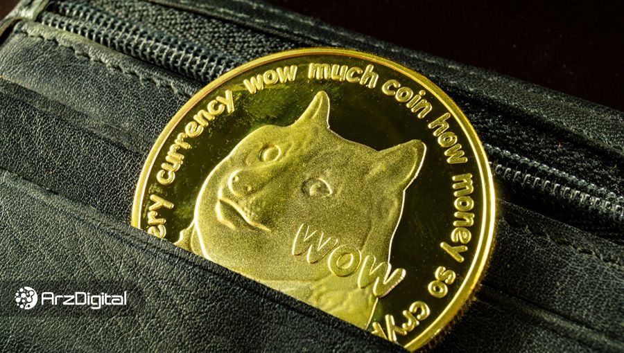 داده‌های تازه: ۶۶ درصد دارندگان دوج کوین در سود هستند