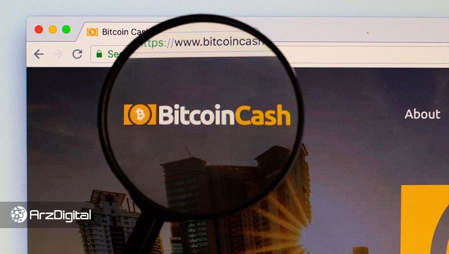 بیت کوین کش