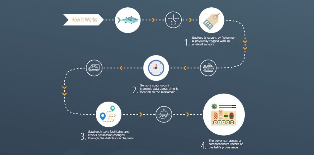 رهگیری ماهی تن با بلاک چین از فیجی تا بروکلین