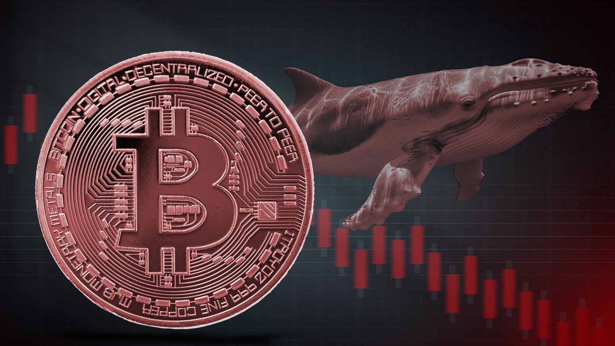 هشدار نهنگ معروف صرافی هایپرلیکویید: سقوط بزرگ بیت‌ کوین و بازار بورس در راه است!