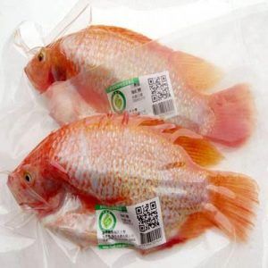 انواع بلاک چین به زبان ساده