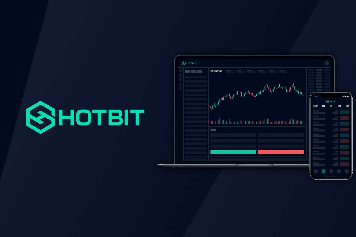 معاملات در هات بیت از سر گرفته شد