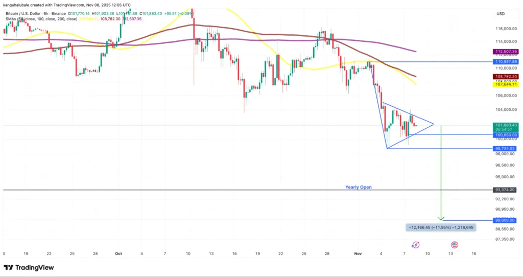 فروش سنگین نهنگهای قدیمی بیت کوین: آیا قیمت تا ۹۰ هزار دلار سقوط میکند؟ الگوی پرچم نزولی بیت کوین