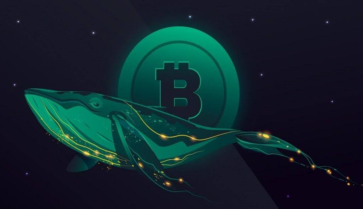 ورود ۸ میلیارد دلار بیت کوین توسط نهنگ‌ها به بایننس؛ آیا فروش بزرگ در راه است؟
