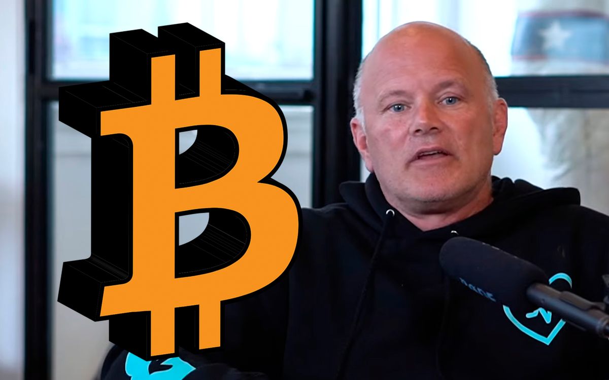 مایک نووگراتز از پیتر شیف خواسته تا در چالشی یک میلیون دلاری درباره قیمت بیت کوین شرکت کند