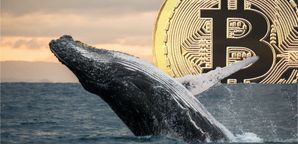 خرید گسترده نهنگ‌ها پس از اصلاح قیمت؛ بیت‌ کوین دوباره بالای ۱۰۰ هزار دلار تثبیت شد