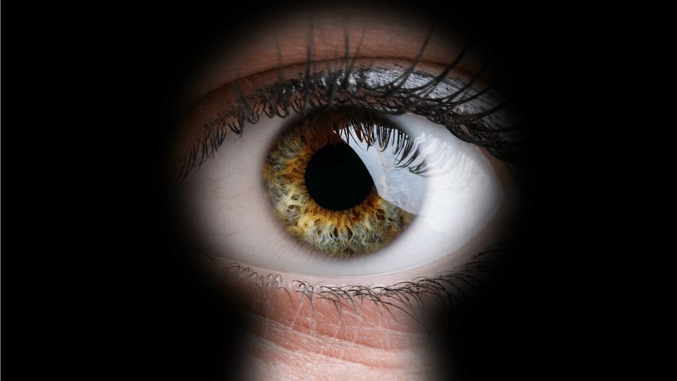 بیت کوین: پناهگاهی در آینده بدون اسکناس بیت کوین: پناهگاهی در آینده بدون اسکناس