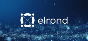 الروند با تغییر نام خود به مالتیورس ایکس، قصد دارد روی متاورس تمرکز کند