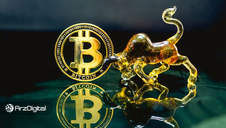 پلنبی: قیمت واقعی بیت کوین ۲۵,۰۰۰ دلار است