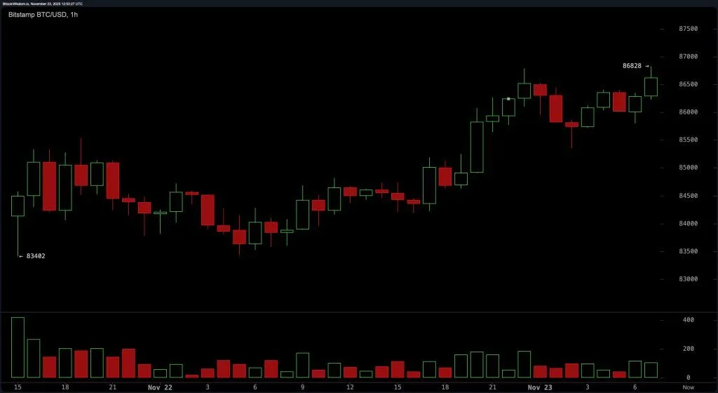 قیمت بیت کوین