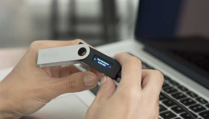 درخت بیت کوین - بخش اول: گونه