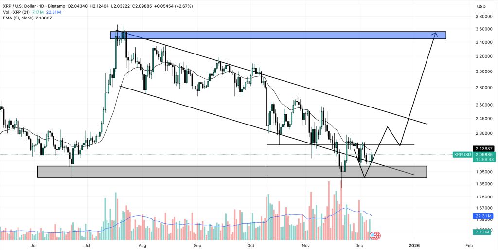 افزایش ترس در میان هولدرهای XRP با کاهش قیمت به ۲ دلار قیمت ریپل