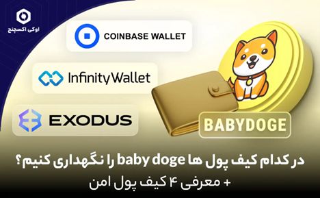 در کدام کیف پول ها baby doge را نگهداری کنیم؟ + معرفی ۴ کیف پول امن