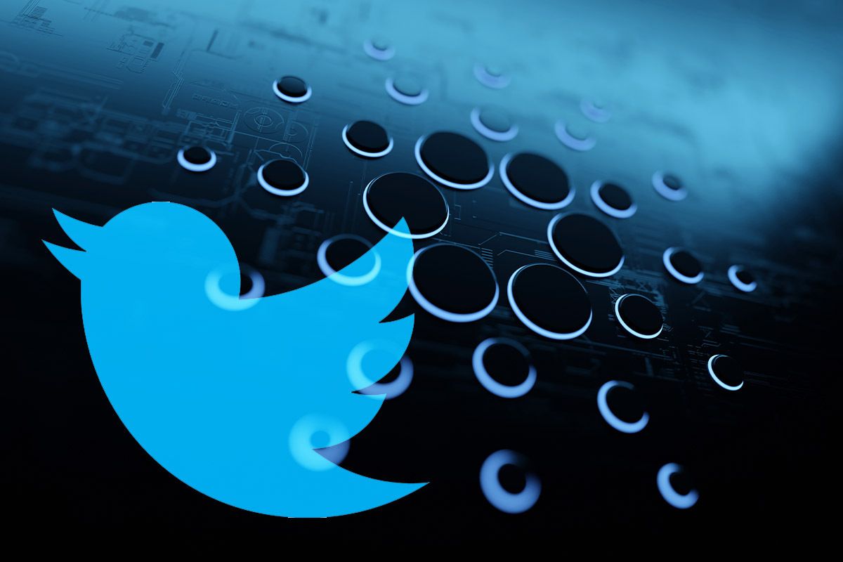 حساب توییتر بنیان‌گذار کاردانو نشان آبی گرفت