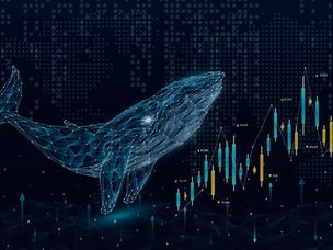 تحرکات نهنگ‌ها با برگشت بازار: وال‌ها چه ارزهایی را خریدند؟
