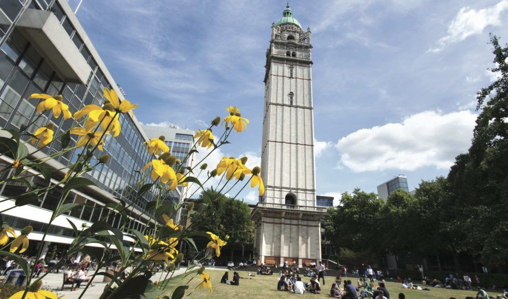 نتایج یک تحقیق: ارزهای دیجیتال شرایط تبدیل شدن به پول رایج را دارند