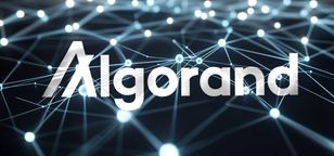 بنیاد الگورند خواستار پذیرش بلاک چین خود توسط وزارت DOGE ایلان ماسک شد