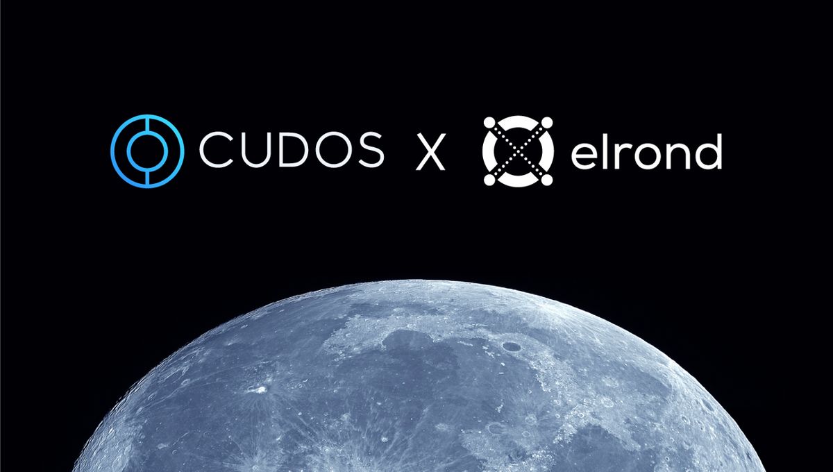 آغاز همکاری الروند با کودوس