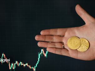 سهم هولدرهای بلندمدت از عرضه بیت کوین به بالاترین سطح در ۷ سال گذشته رسید