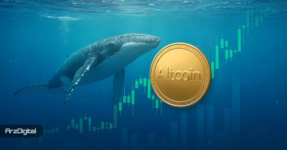 نهنگ‌ها با اوج‌گیری بازار این ۳ آلت کوین را خریداری می‌کنند!