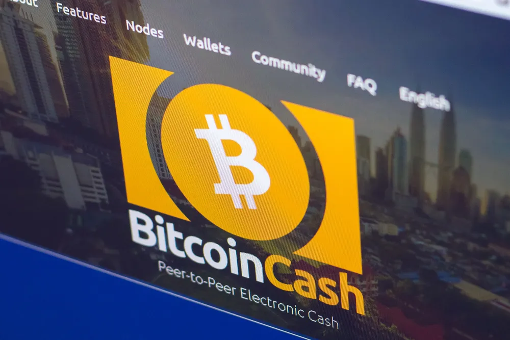 پیشبینی هوش مصنوعی از قیمت بیت کوین کش تا پایان سال