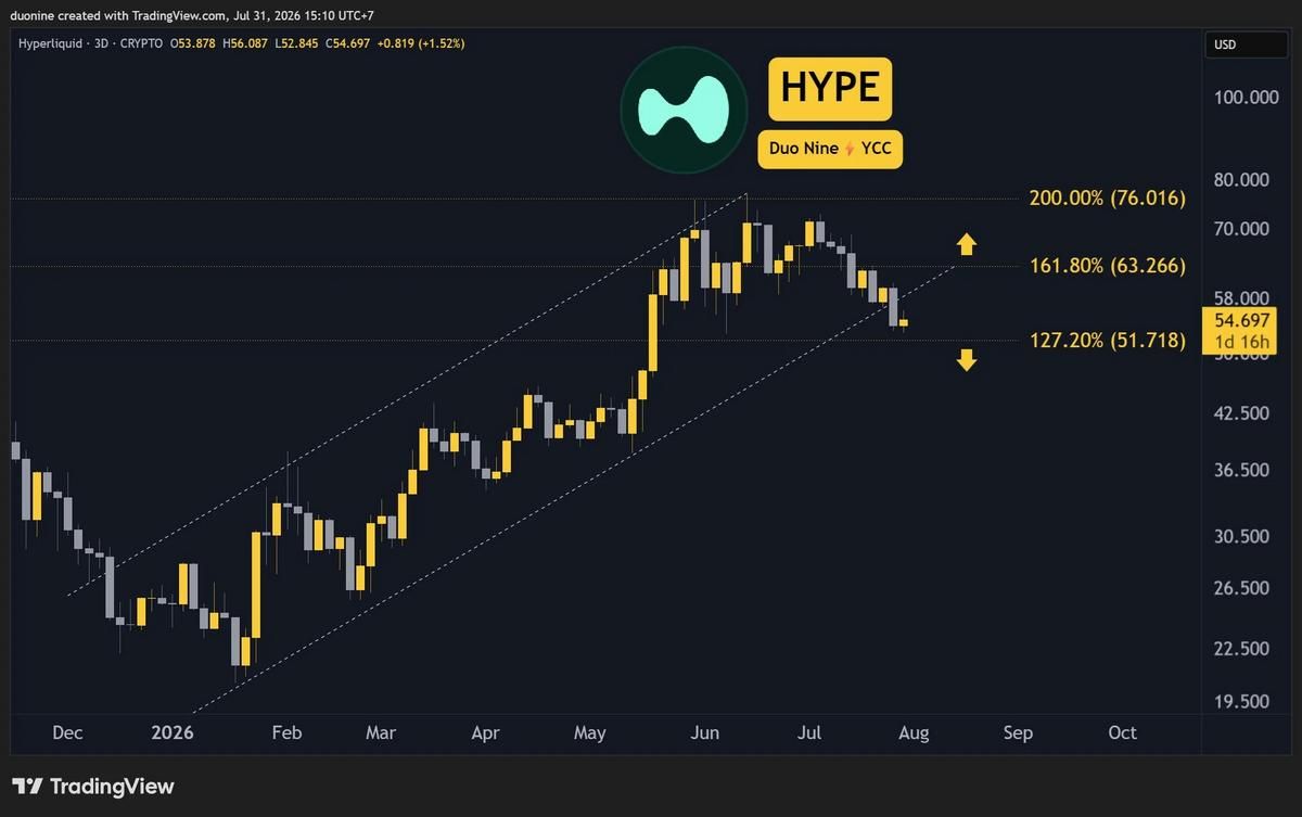 Hyperliquid HYPE Price Correction Hyperliquid HYPE Price Correction
