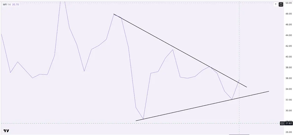 هشدار فروش ۲۱۶ میلیون دلاری نهنگها: آیا کاردانو ۱۲ درصد رشد میکند؟ نمودار واگرایی صعودی کاردانو با شاخص MFI