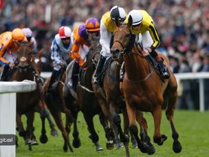 ایاس در برنامه‌های غیرمتمرکز و حجم تراکنش اتریوم را پشت سر گذاشت !