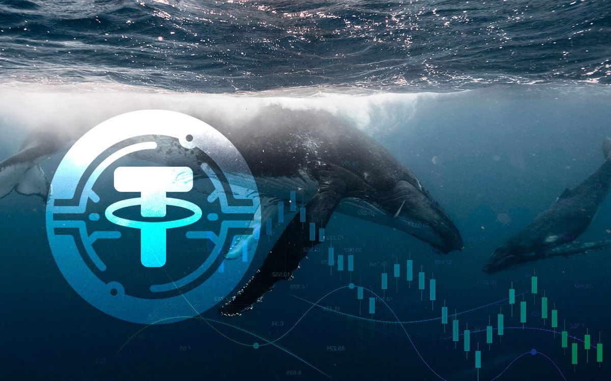 سهم آدرس‌های دارای ۱۰۰هزار تا ۱۰میلیون دلار تتر از عرضه USDT،‌ به کمترین میزان در ۳ سال اخیر نزدیک شده است