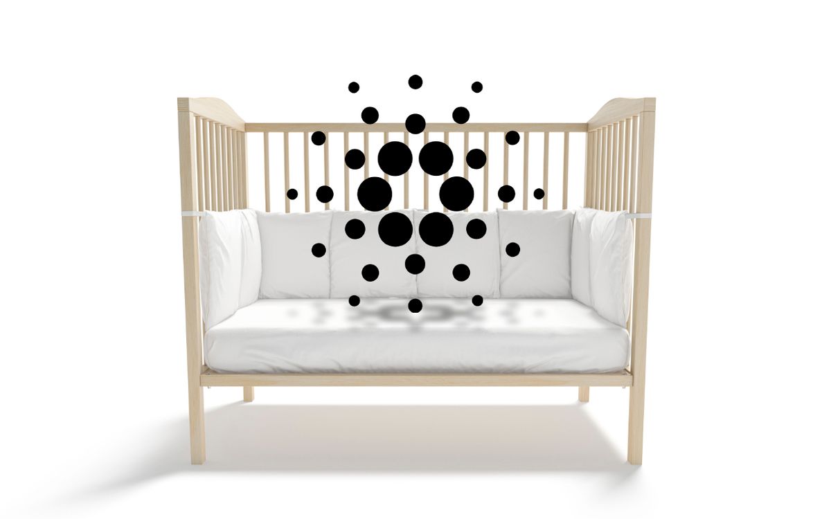 یک هوادار ارزهای دیجیتال نام فرزند خود را کاردانو گذاشت