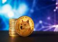 نهنگ‌های دوج کوین ۴۷۰ میلیون DOGE خریداری کردند؛ بازار در انتظار نشست کاخ سفید