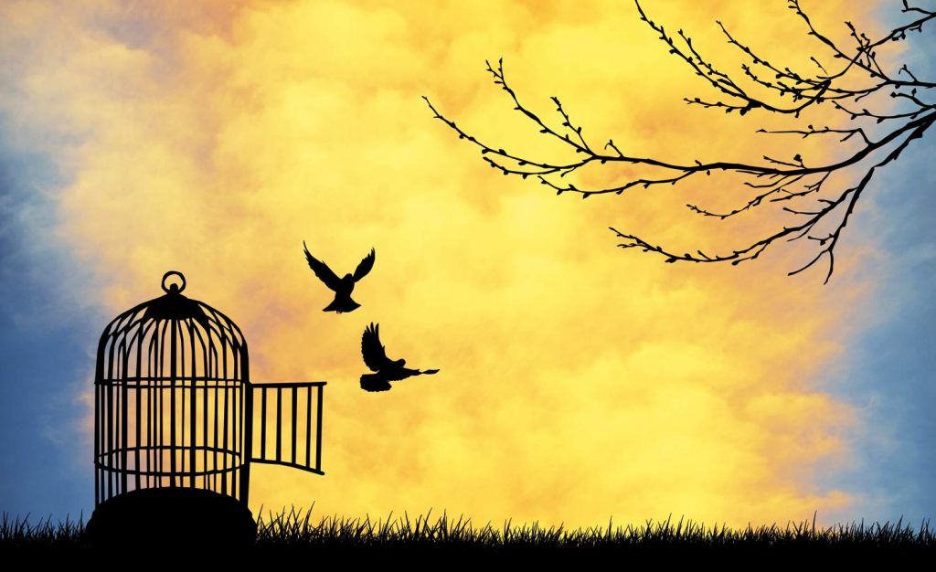 چرا بلاک چین‌ با دموکراسی در تضاد است؟