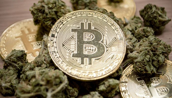 دستگیری هشت نفر در اسپانیا به اتهام پولشویی با ارزهای دیجیتال دستگیری هشت نفر در اسپانیا به اتهام پولشویی با ارزهای دیجیتال