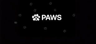توکن ایردراپ پروژه PAWS لیست شد