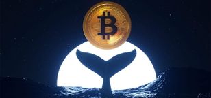انتقال ۳۳ میلیون دلار بیت کوین از کیف پولی قدیمی در بحبوحه یک پرونده قضایی
