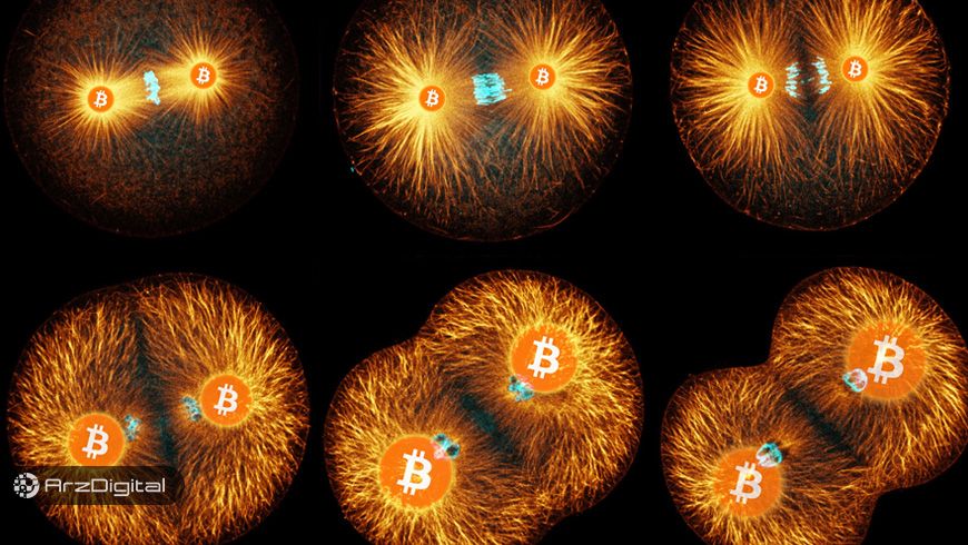 بیت کوین یک موجود زنده