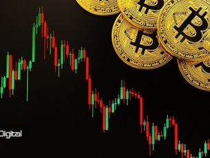 آینده قیمت بیت کوین قبل و بعد از سومین هاوینگ چگونه خواهد بود؟ تحلیل‌گران پاسخ می‌دهند