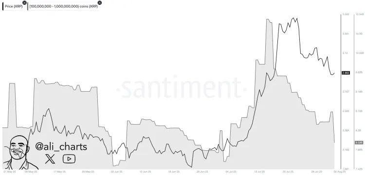 پیشبینی اصلاح قیمت عمیقتر برای XRP از سوی تحلیلگر برجسته تحلیل آنچین ریپل