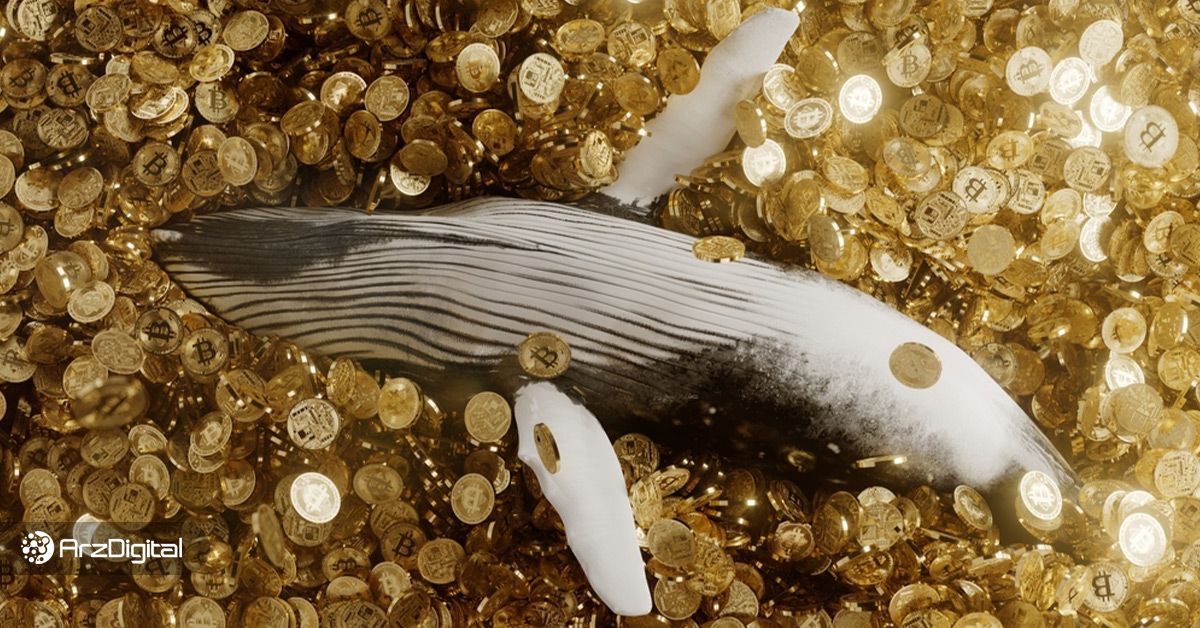 نهنگ بیت کوین