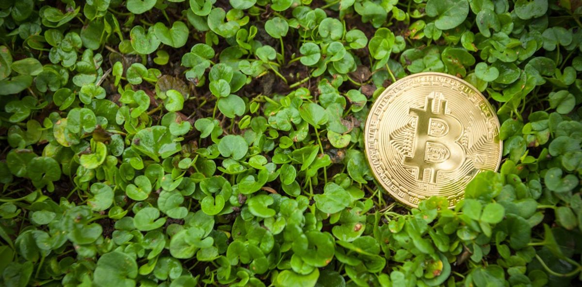 سبزشویی در بیت‌کوین؟ قانون‌گذاران به دنبال تعریفی دقیق‌تر از انرژی سبز هستند