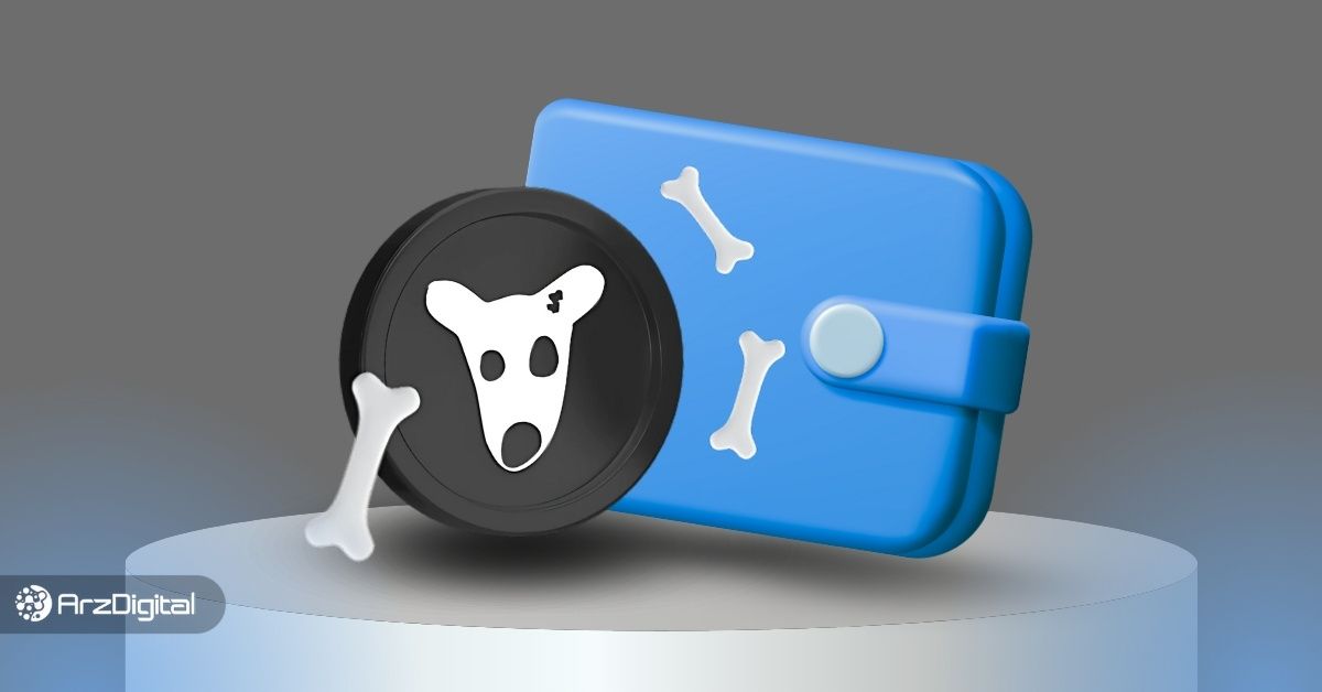 بهترین کیف پول های داگز کدامند؟ معرفی ۵ ولت برتر توکن DOGS