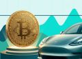 گزارش مالی تسلا؛ ذخایر بیت کوین ایلان ماسک بدون تغییر باقی ماند