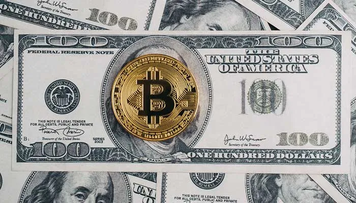 درخت بیت کوین - بخش اول: گونه