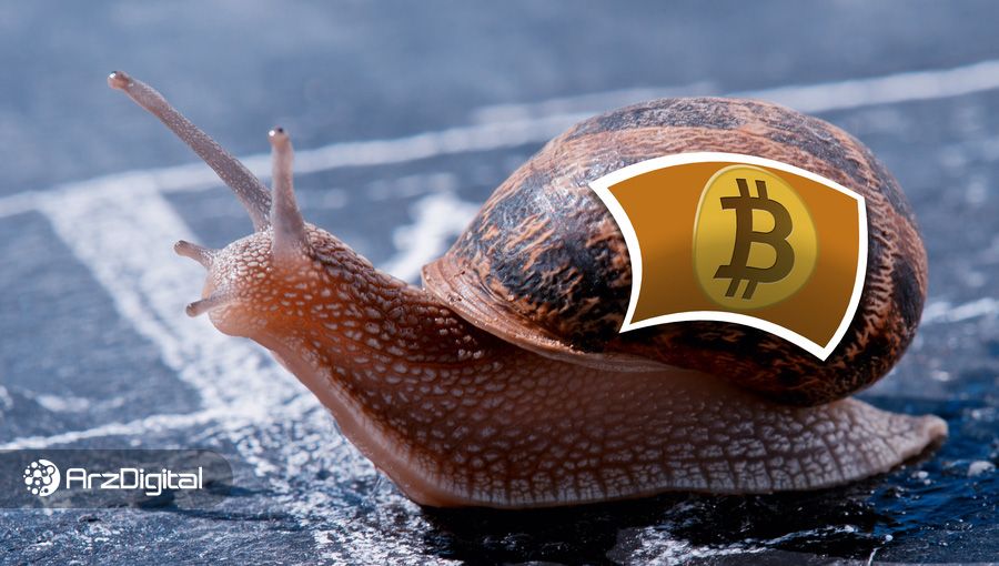 حلزون بیت کوین