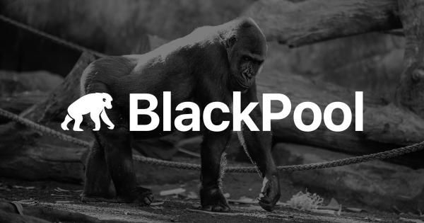 سازمان غیرمتمرکز خودگردان بلک‌پول ۶ میلیون دلار سرمایه جمع‌آوری کرد