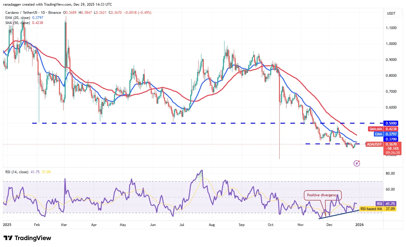 تحلیل قیمت کاردانو